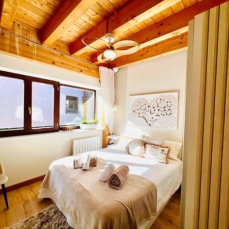 El Capricho De Claudia_ Apartamentos Burgos Catedral Luaran gambar