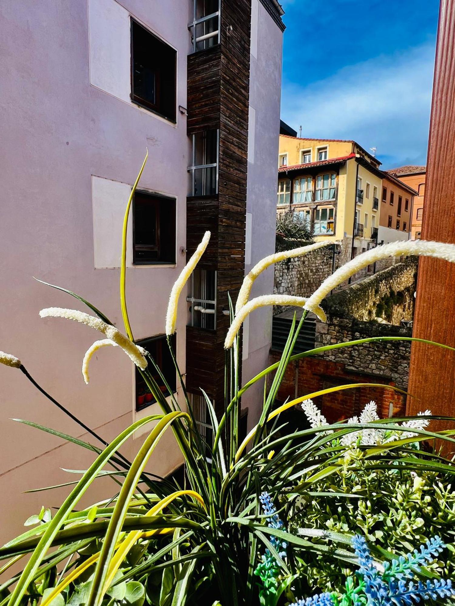 El Capricho De Claudia_ Apartamentos Burgos Catedral Luaran gambar